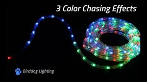 PLC RGB 1/2 Inch Color Changing & Chasing LED Rope Lights