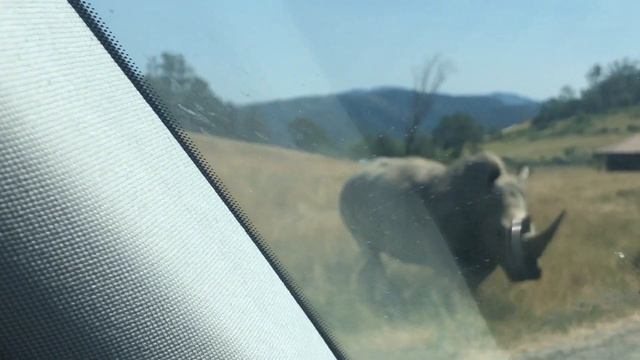 САФАРИ парк в штате ОРЕГОН. Дениска изучает животных. смотреть онлайн