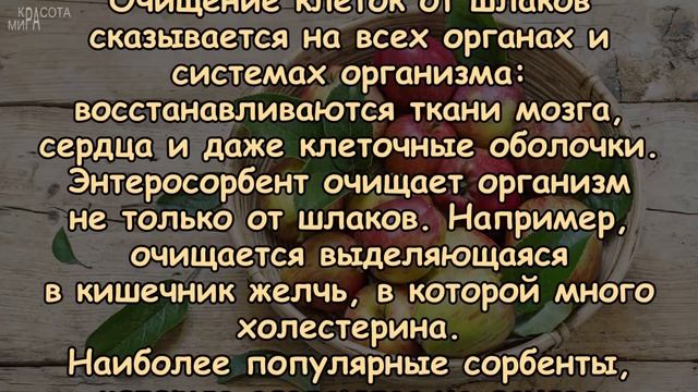 ОЧИЩЕНИЕ ОРГАНИЗМА ОТ ШЛАКОВ - энтеросорбция