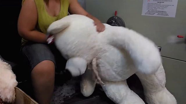 Рождение плюшевого Мишки