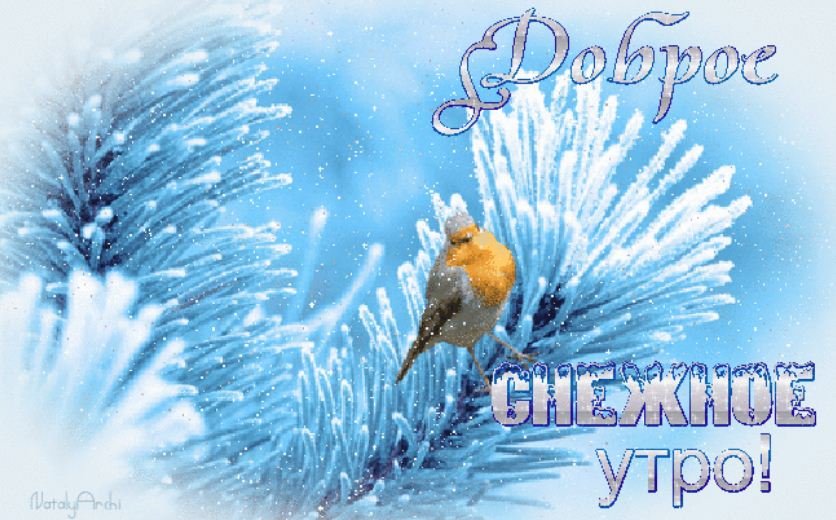С добрым утречком, хорошего денечка! Хочется пожелать чудесной погоды