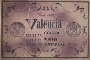 Гитара Valencia CG170D - Кузнецов В - Мелодия листьев и дождя.