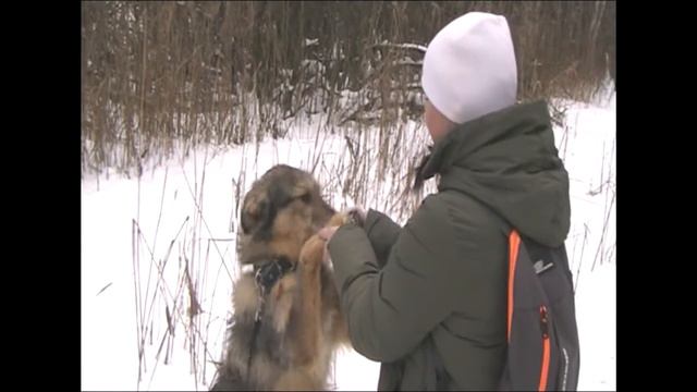 Каспер нашел себе дом и любящего хозяина! смотреть онлайн