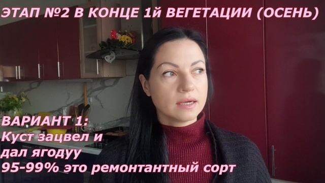 Как отличить в саженце ремонтантный сорт от обычного. Пересорт!