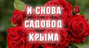 1.12.2021 Еще один заказ в Садоводе Крыма.mp4