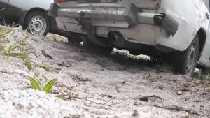 Вал нуждин+ 11.2