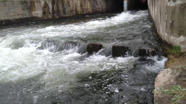 Еловское водохранилище