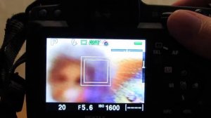 Pentax K-5 II - autofocus in Live View mode
