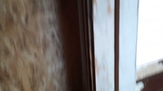 Как из старых дверей сделать новые часть первая