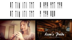 Lion's Pride (Tavern / Inn Theme - World of Warcraft) cover on Tin Whistle D + tabs tutorial