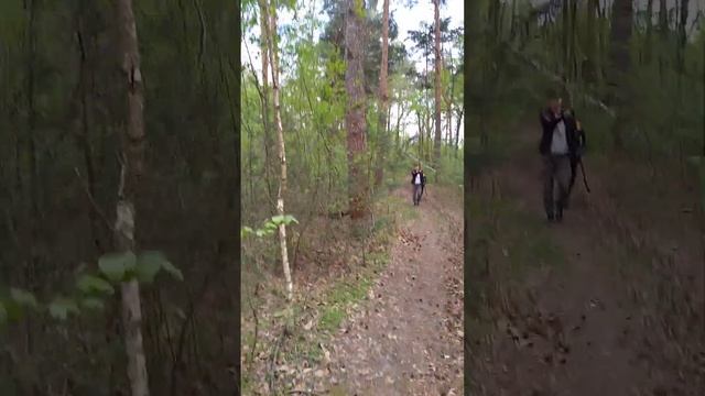 Историческое место ищем в лесу Капище древних славян смотреть онлайн