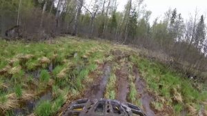 Покатуха на квадриках по болоту Стелс, BRP, АОДИС, Машинка Доминатор.