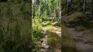 поездка на велосипеде из мичуринска в липецк, через кривецкий лес