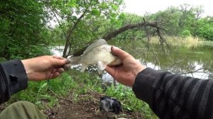 Северский Донец. Новое место для рыбалки и отдыха.