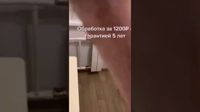 #Супер обработка от тараканов? Новый метод❗ Цена 1200₽ с гарантией 5 лет❗