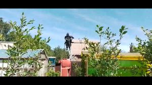 КРИКзрачный гонщик #огород #пугало #крик #россия #лето