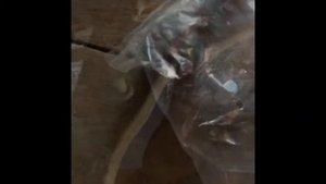 Рулевой наконечник Carisma.