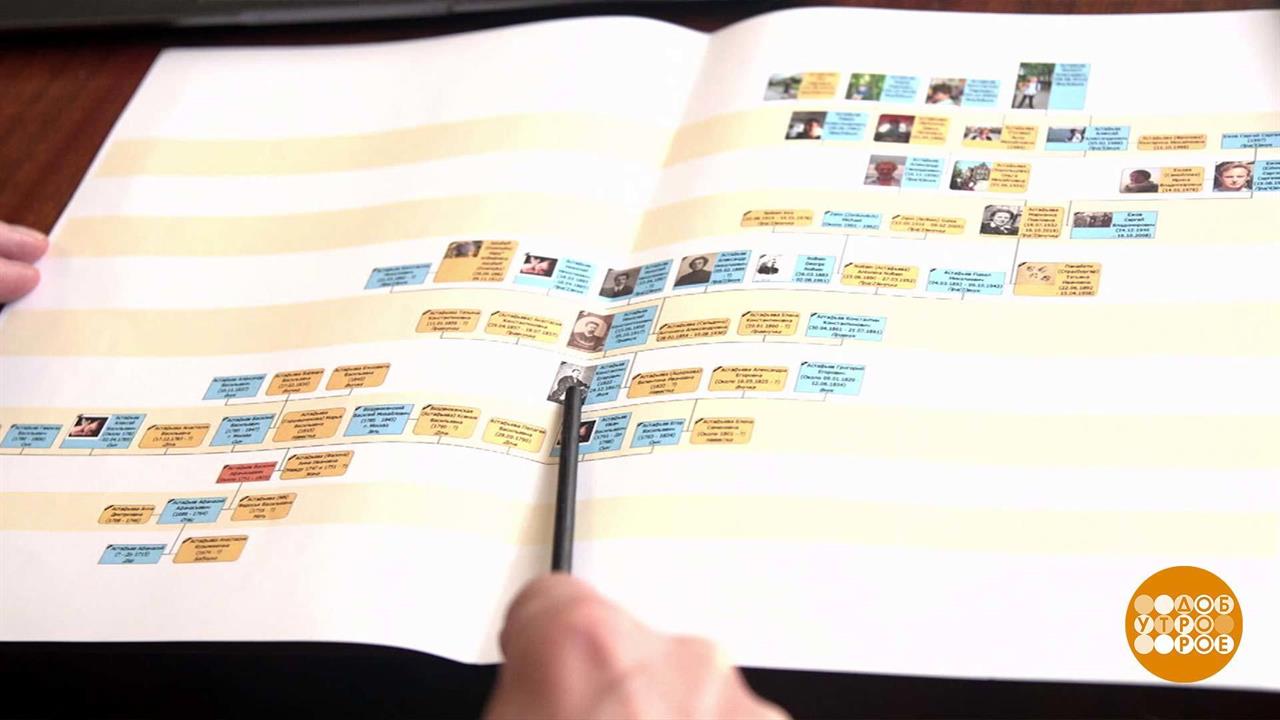 Генеалогическое древо: само не вырастет... Доброе утро. Фрагмент выпуска от 29.09.2023