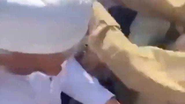 В Пакистане сожрали флаг Израиля смотреть онлайн