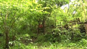 Глубокая щель. Затерянное место на  Сочинском побережье.