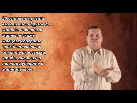 Притча о пшенице и плевелах. Матфея 13:24-30