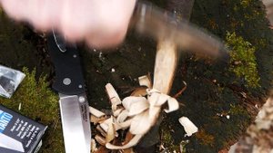 Обзор ножа Cold Steel Air Lite - edc стамеска