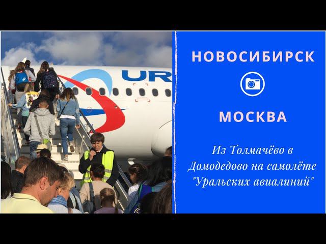 Самолет из Новосибирска в Москву