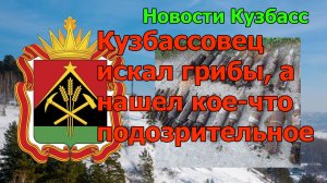 Кузбассовец искал грибы, а нашел кое-что подозрительное