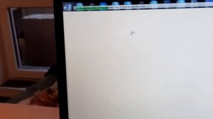 как подключить игровой руль к pc