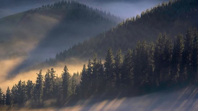 Johannes Bornlöf. Hope Whispers смотреть онлайн