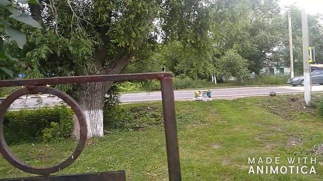 БИЗНЕС в Деревне2019 Продаем овощи со своего огорода смотреть онлайн