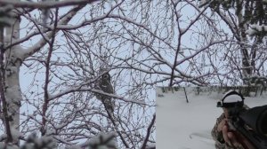 ЭПИЧНЫЙ ВЫСТРЕЛ ПО ПТИЦЕ! ОХОТА НА РЯБЧИКА С МЕЛКАШКОЙ / ПОХОД В ТАЙГУ НА ЛЫЖАХ / КАК ЭТО БЫВАЕТ?