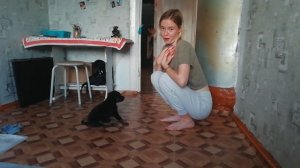 #2. Первое занятие стаффордширского терьера 1,5 месяца. Выдержка при виде еды и основные команды