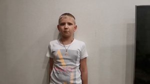 Стихотворение Владимир Соколов. "Всё чернила вышли'
