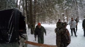 Незаконный промысел в России.