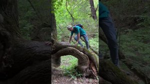 20 июля 2024 г.