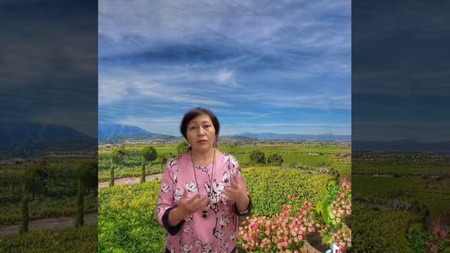 Литературный фестиваль «Когда сходятся звёзды» смотреть онлайн