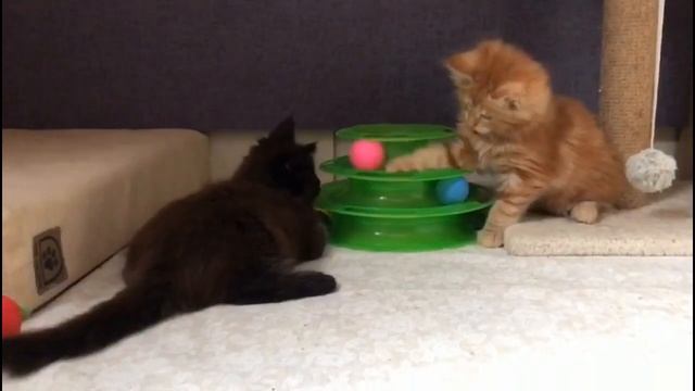 Утро понедельника здравствуй смотреть онлайн