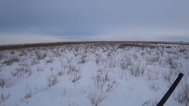 ОХОТА НА ЗАЙЦА! МНЕ ВЕЗЛО НА КАЖДОМ ШАГУ смотреть онлайн