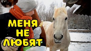 КУПИЛИ ДОМ В ДЕРЕВНЕ. ЗИМНИЙ ДЕНЬ В ДЕРЕВНЕ, ДЕРЕВЕНСКИЕ БУДНИ