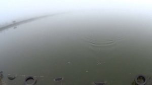 Африканский Сом Рыбалка бомба
