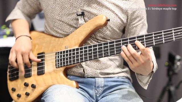 Sandberg Classic 5 /w birdeye maple top смотреть онлайн