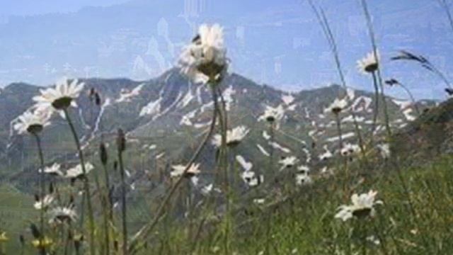 KVAVILEBIS KVEKANA - МУЗЫКА М.Чиринашвили. Квартет GEORGIA смотреть онлайн