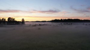 Вечерний туман в деревне