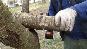 НА ЧТО СПОСОБНАЯ САБЕЛЬНАЯ ПИЛА ДНИПРО-М