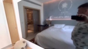 Дубай!!! New hotel часть первая!!!   NH Collection Dubai The Palm ⭐️⭐️⭐️⭐️⭐️