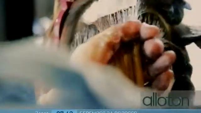 Органические Красители Вместо Хны - Ранок - Інтер смотреть онлайн