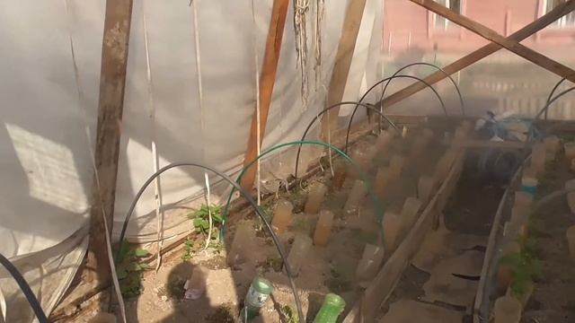 жареная навага в казане на очаге fried navaga in cauldron on the hearth смотреть онлайн