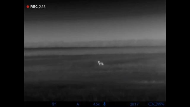 работа манков.волк на вабу смотреть онлайн