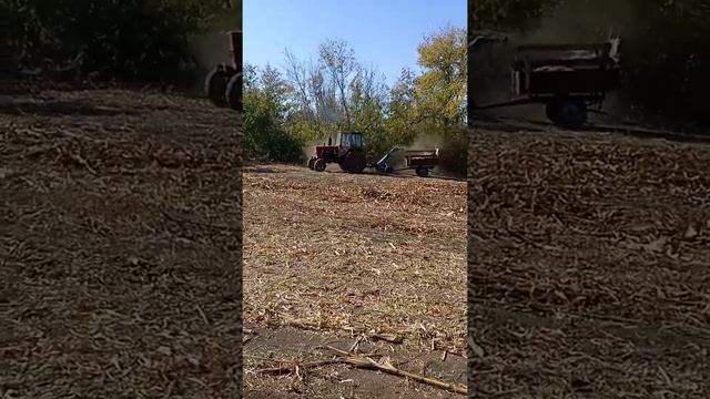 ЮМЗ и Кир 1 м на подборке кукурузы смотреть онлайн